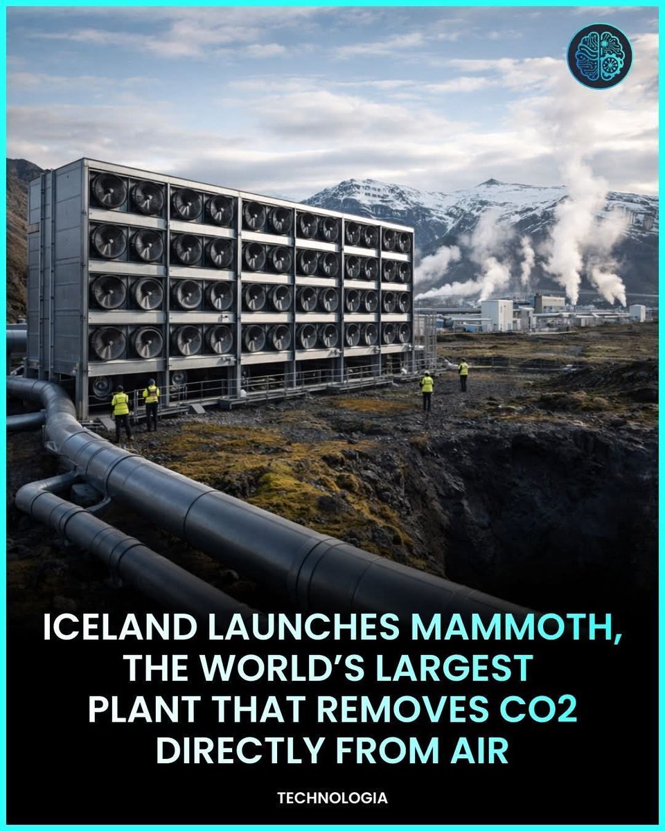 Edwin EPP🇨🇦 tweet media