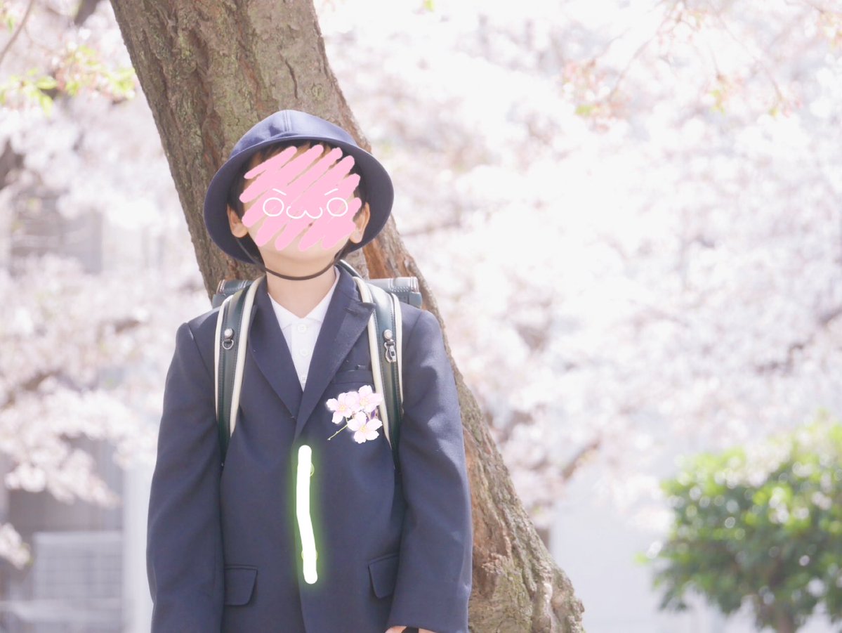 静かに暮らしたい𝗥𝗶𝘁︎☺︎ tweet media