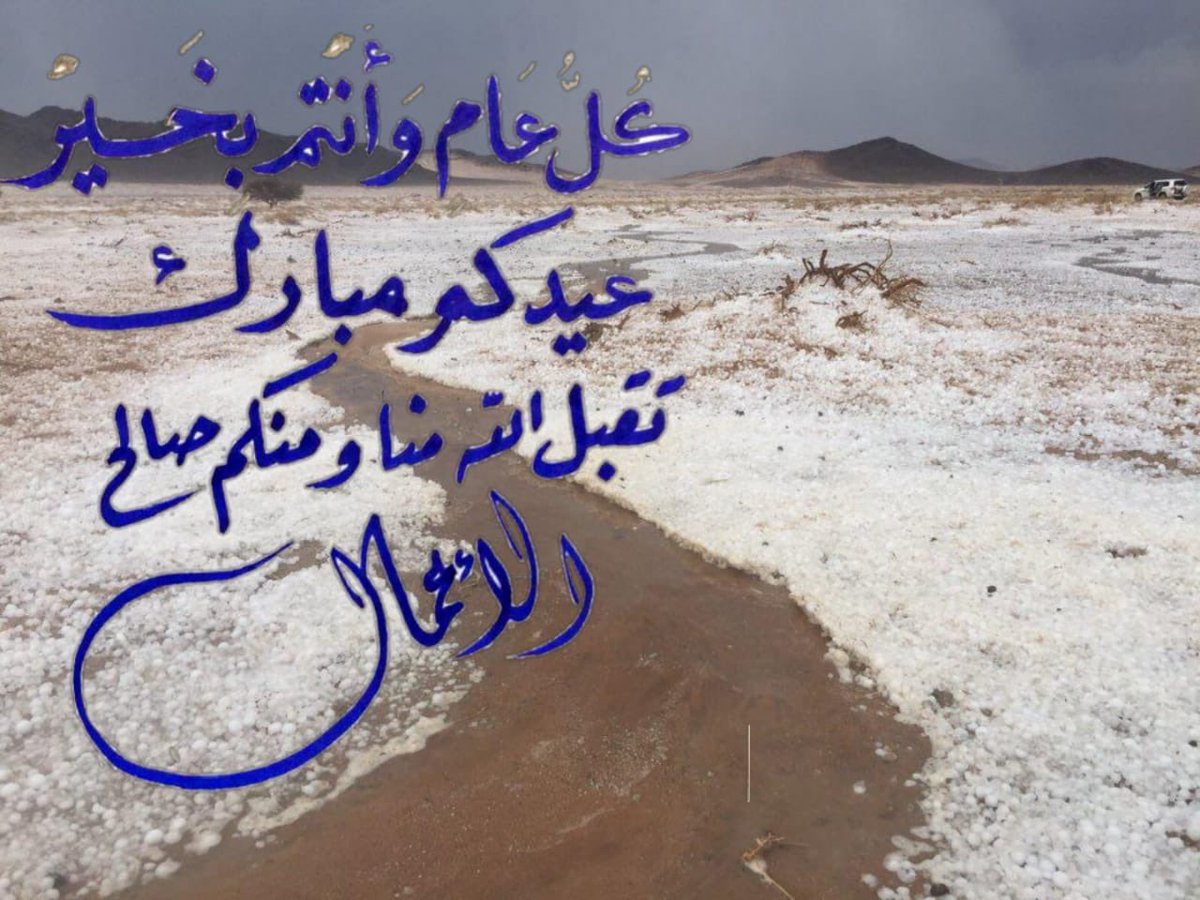 مخاوي الشيبان tweet media