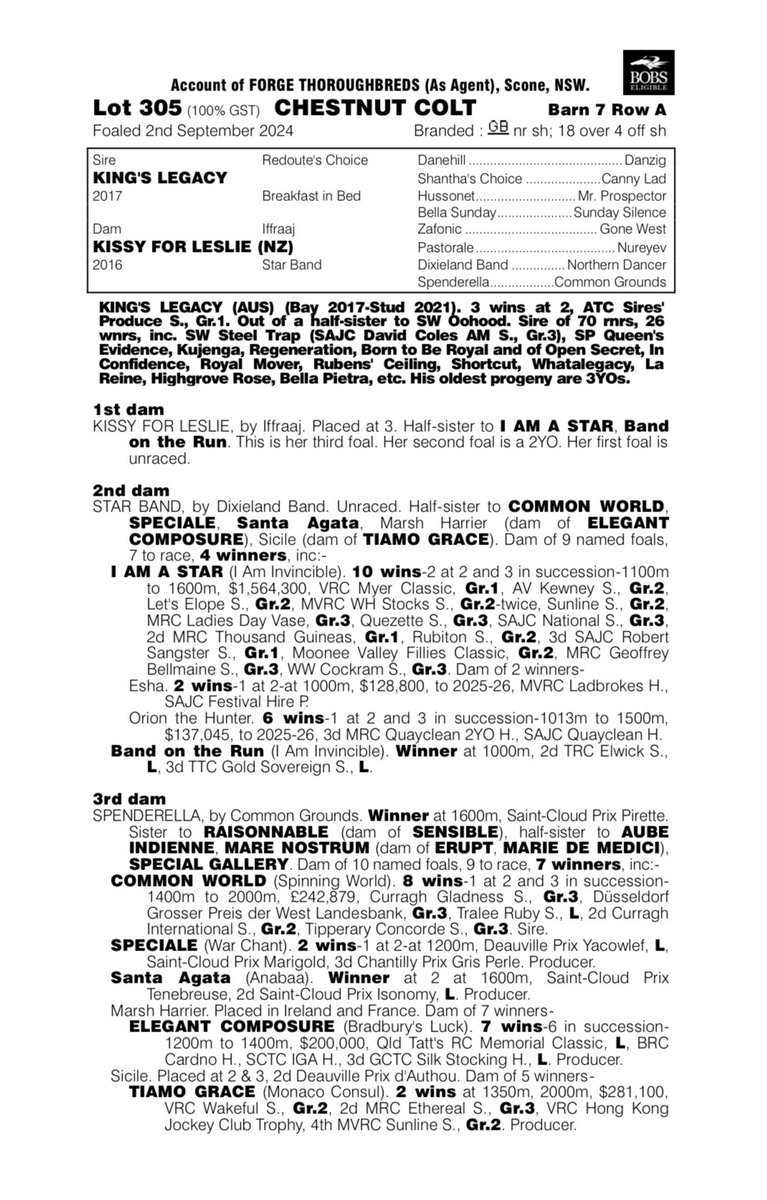 shanenicholsrac's tweet photo. We’ve secured a flashy King’s Legacy colt out of a half-sister to our Queen I Am A Star. Purchased for $48,000 from Forge Thoroughbreds. 

He’s a well-built, strong colt that is an early September foal so won’t take long at all to be up and going. https://t.co/zR6kggSbUJ