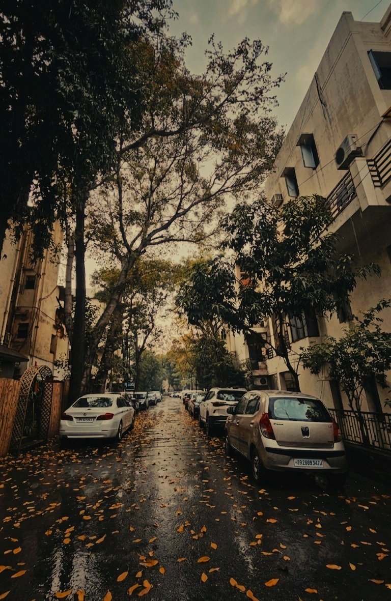 Bobby Roy tweet media