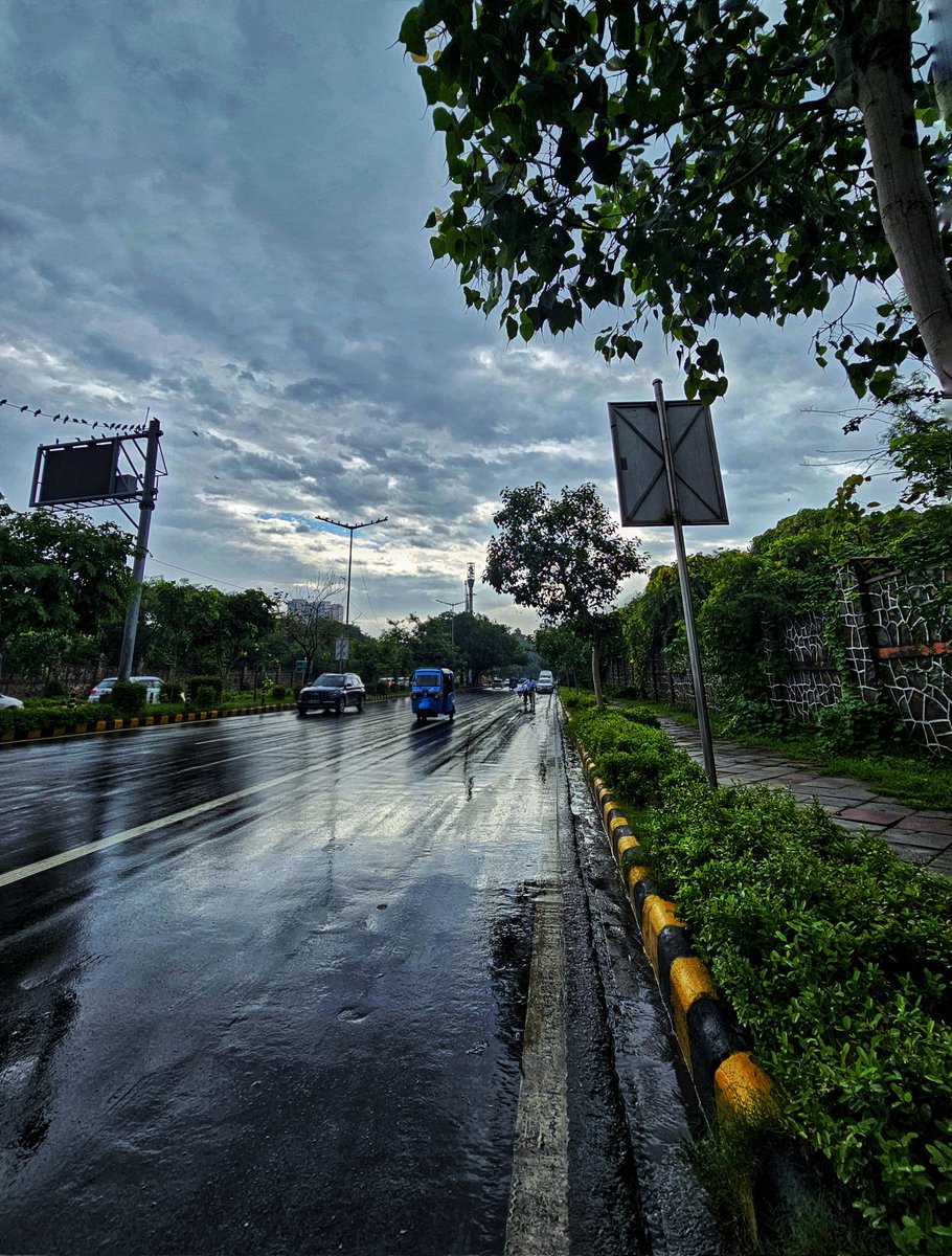 Bobby Roy tweet media