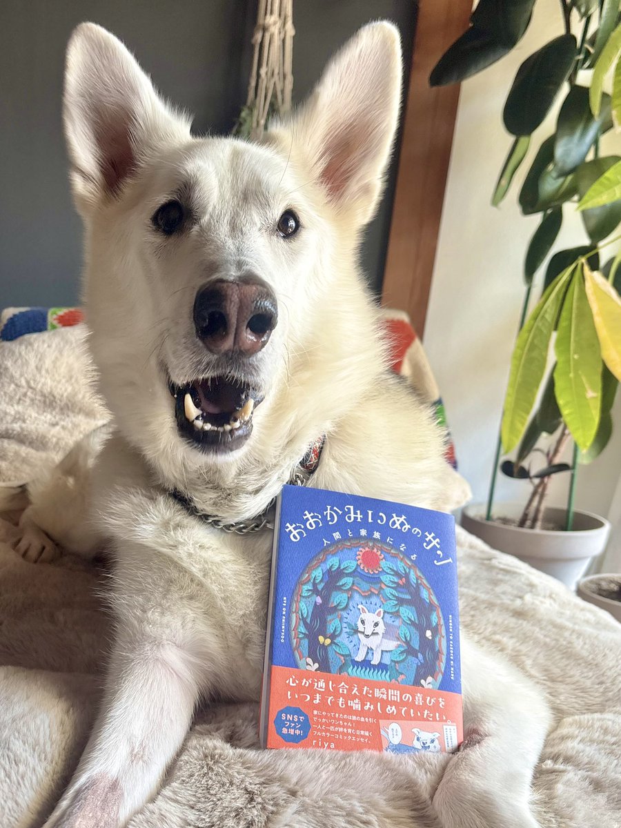 riya / 書籍「おおかみいぬのサン」3/31発売 tweet media