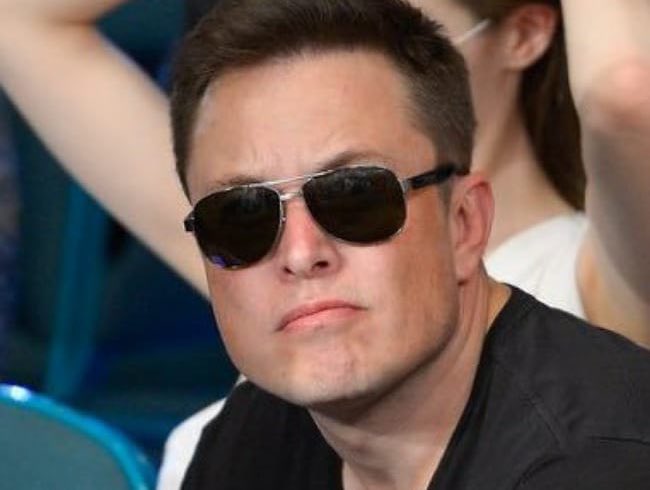 Not Elon Musk tweet media