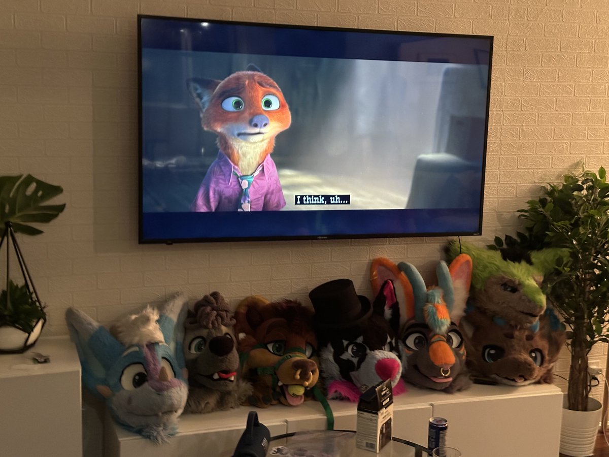 Ruffle 🏢🐾 tweet media