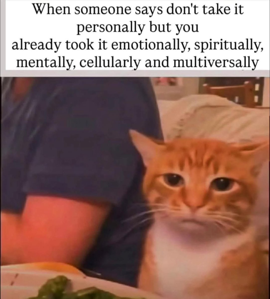 Smudge The Insult Cat 🐀 tweet media