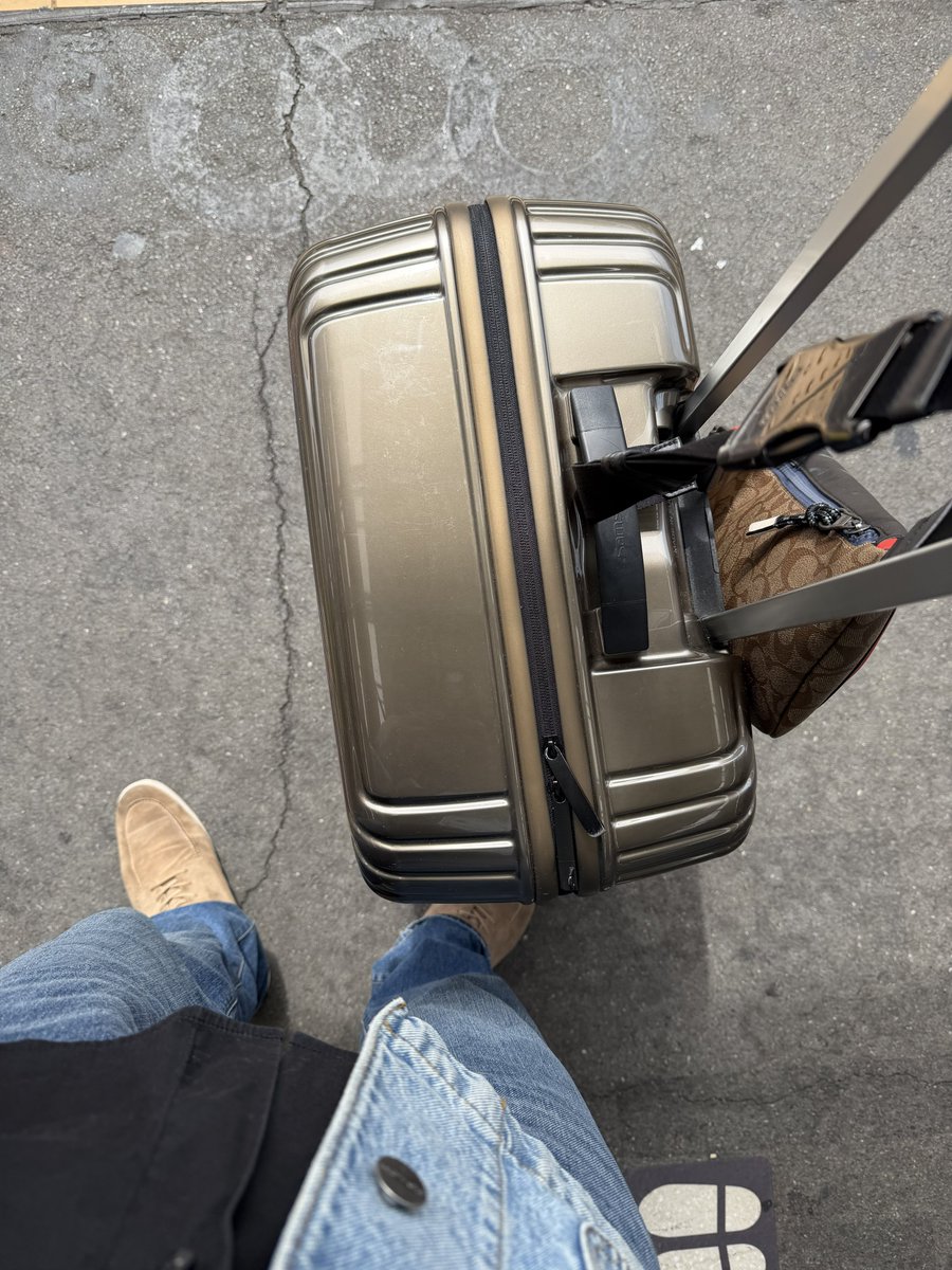 ティケラミンゴ(32) tweet media