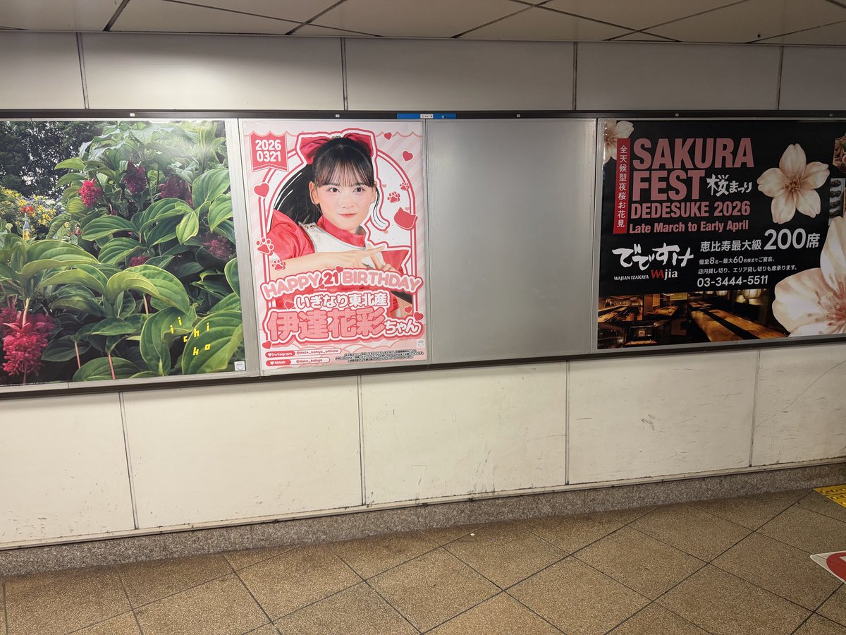 伊達花彩さん生誕企画2026 tweet media