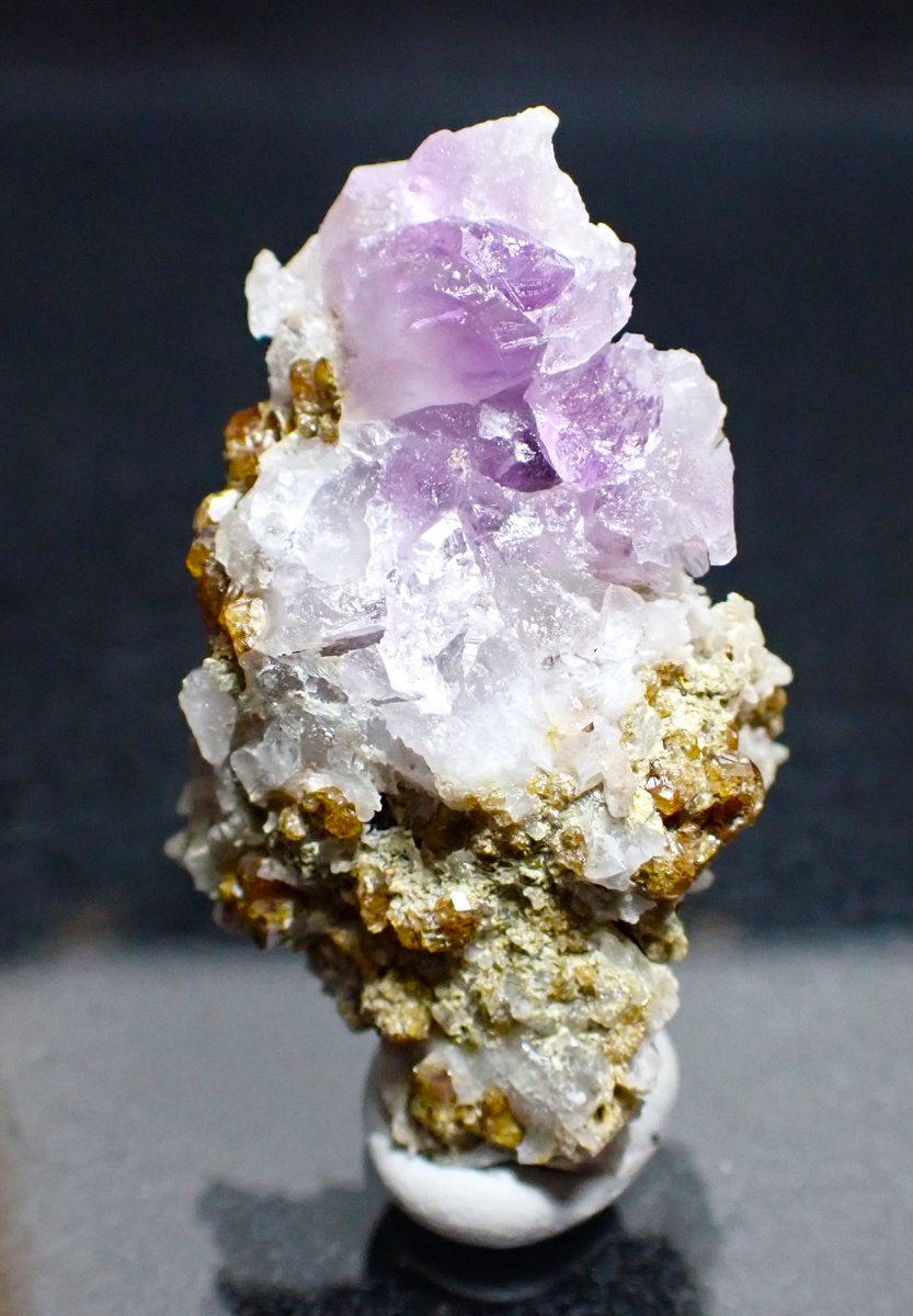 りかたん tweet media