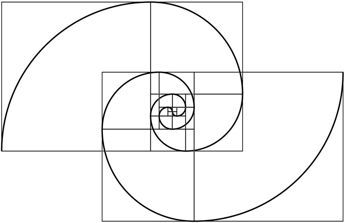 WEBBBBBBB tweet media