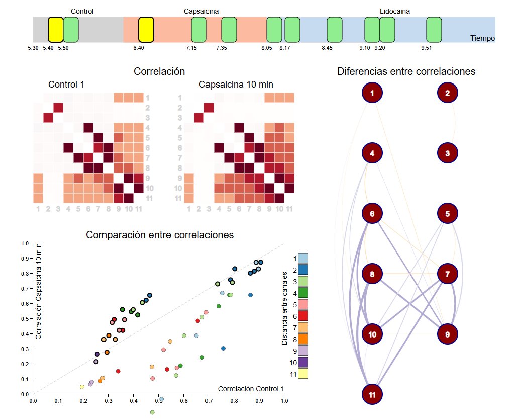 Irving MA tweet media