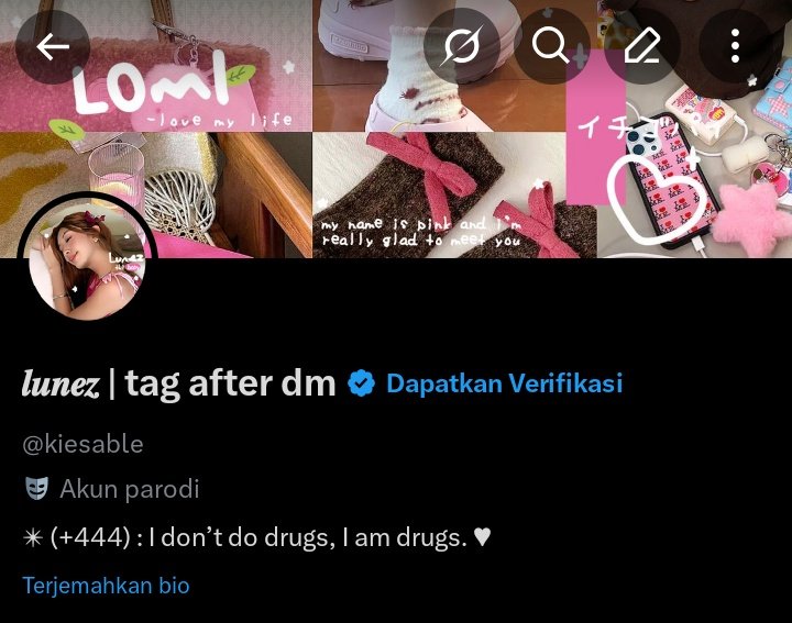 𝒍𝒖𝒏𝒆𝒛 | tag after dm tweet media