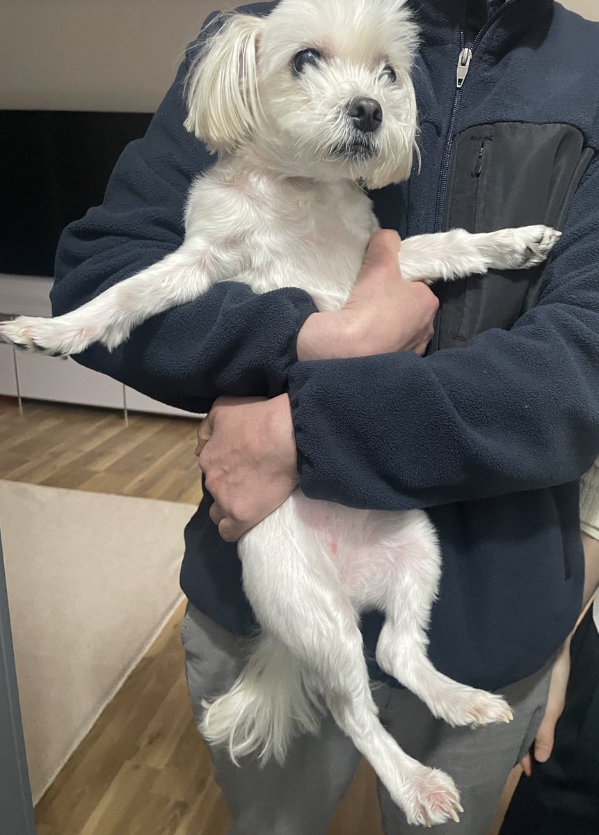 김체리 tweet media