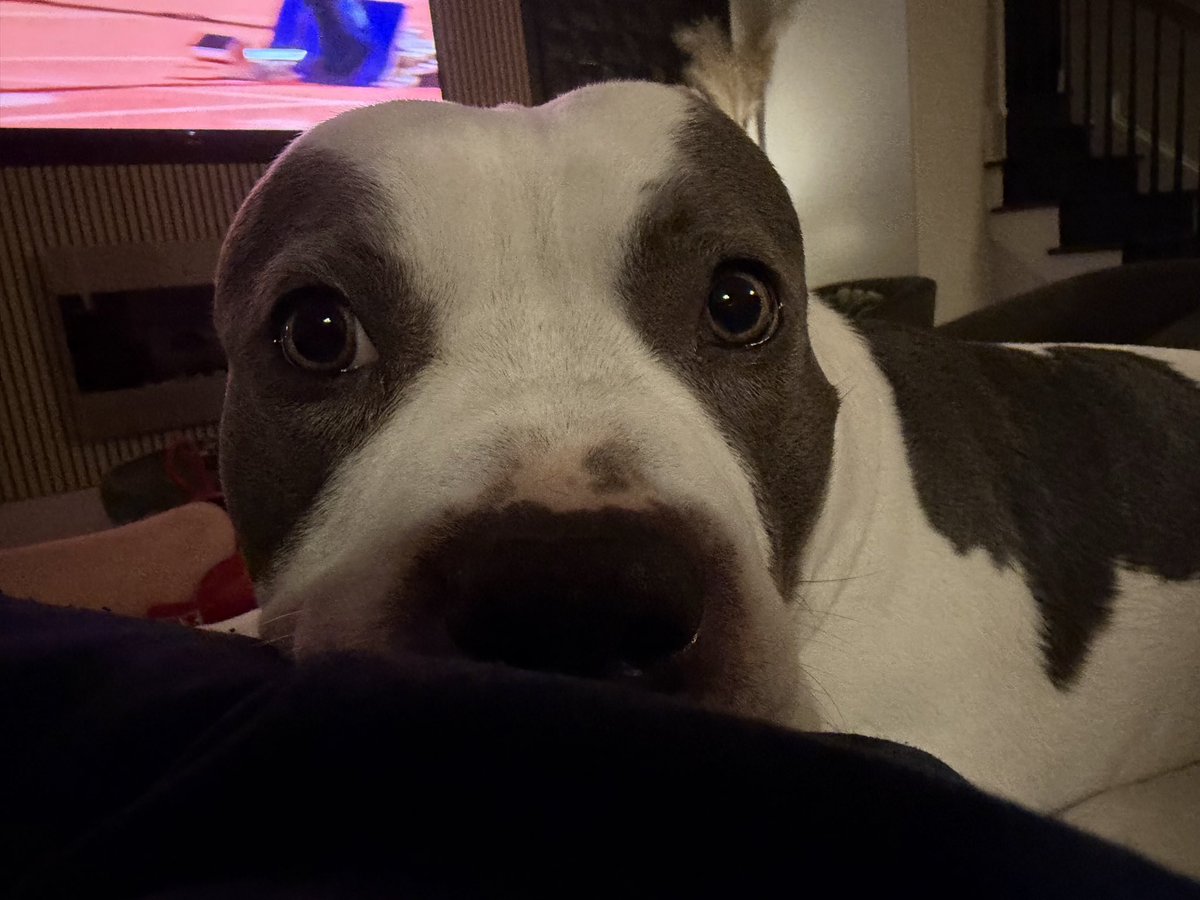 Chad Caton🎙🇺🇸 tweet media