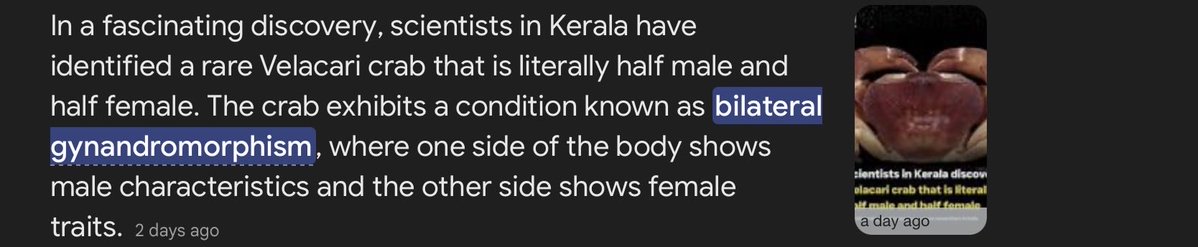 Nocturnal🖤 tweet media