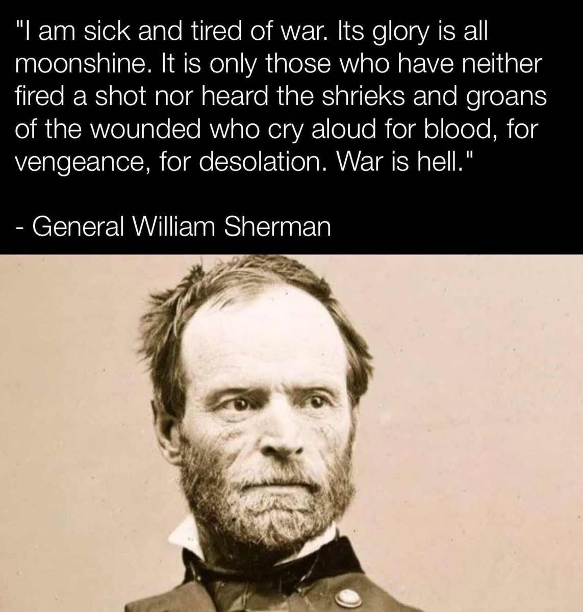 Smudge The Insult Cat 🐀 tweet media