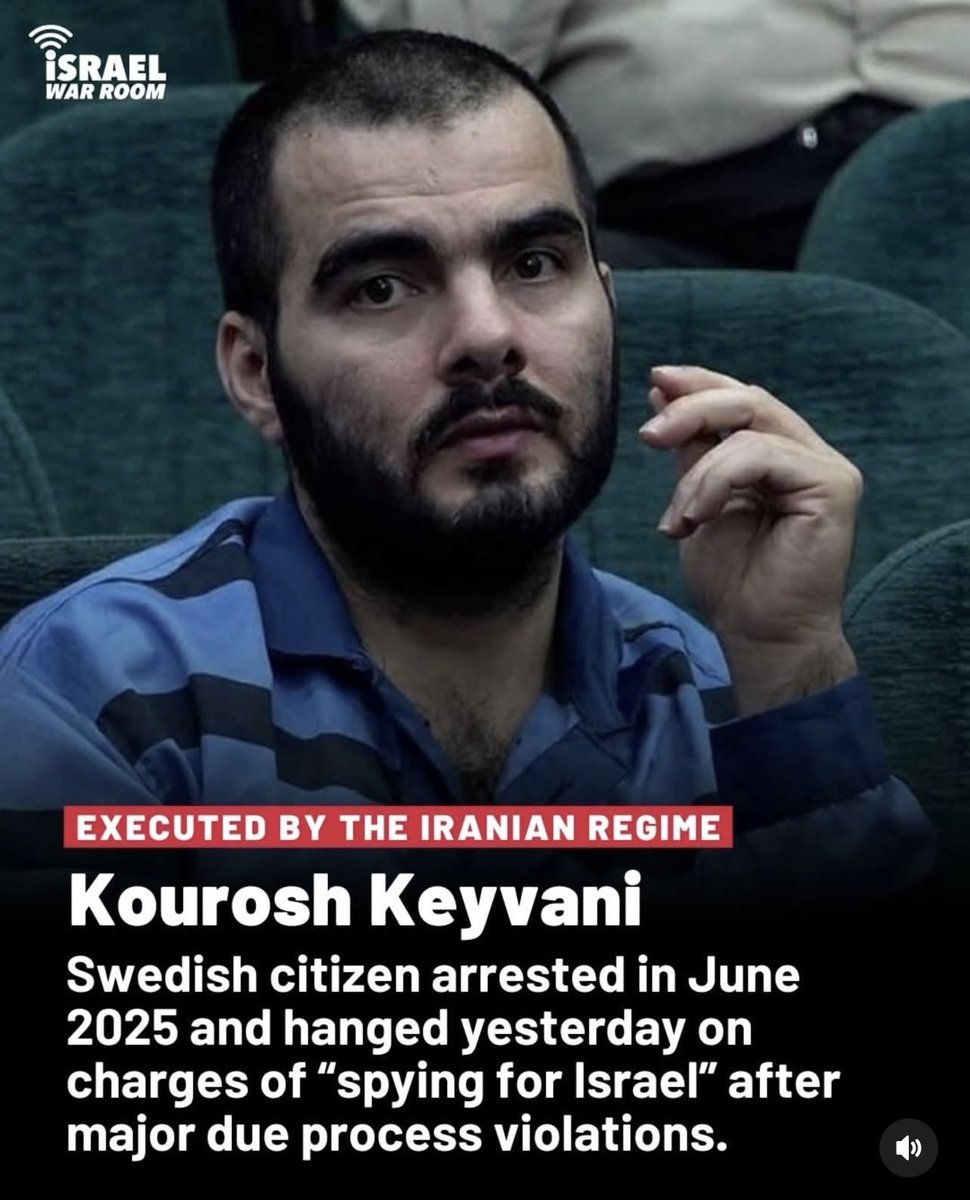 Marziyeh Amirizadeh مرضیه امیری زاده tweet media