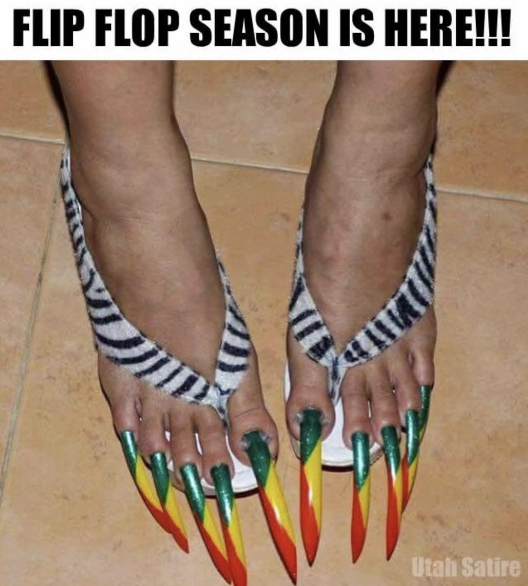 Michelle Maxwell ™ tweet media