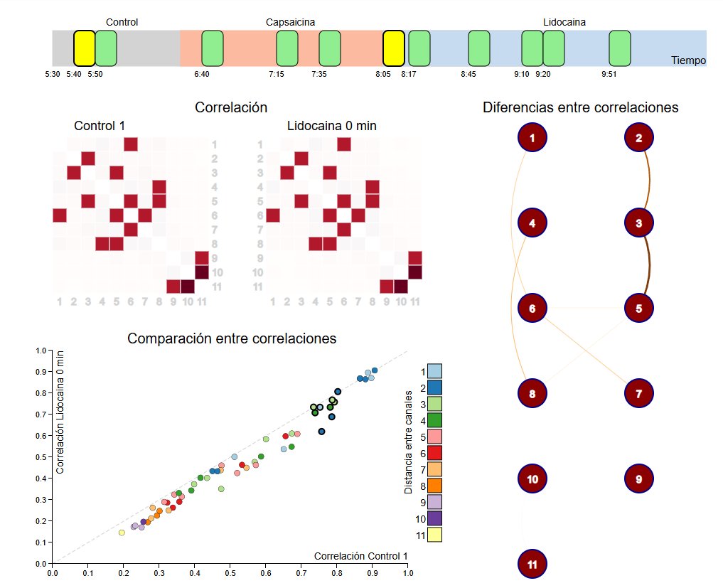 Irving MA tweet media