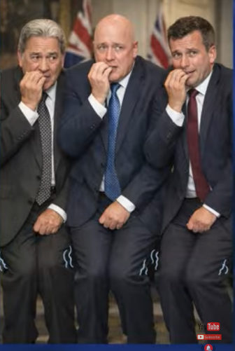 NZ Stop Co-governance tweet media