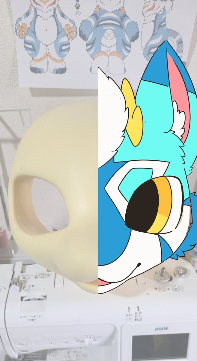 🐾Keda Marche🐾 tweet media