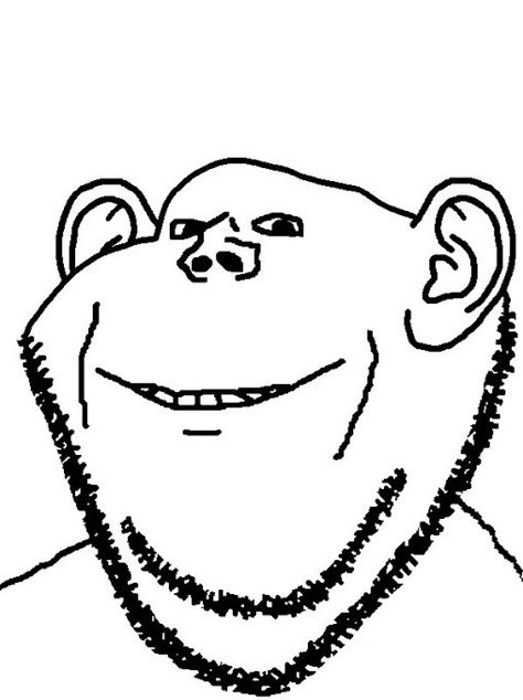 Basil🧡 tweet media