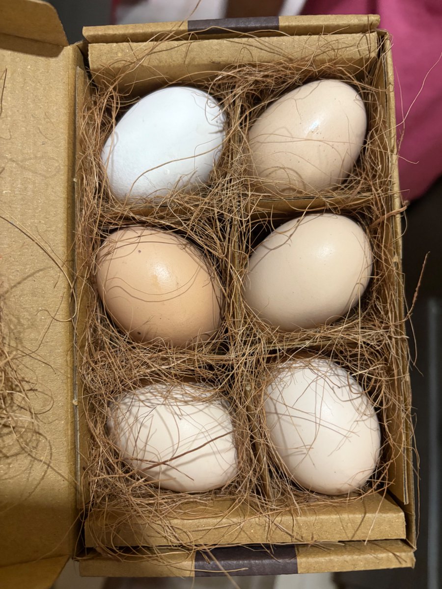 Pradhuman Jhala tweet media