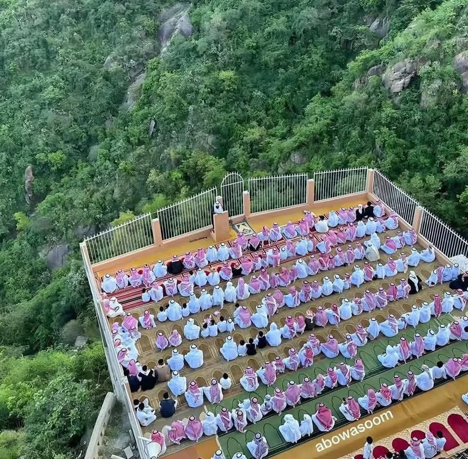 قورجس tweet media