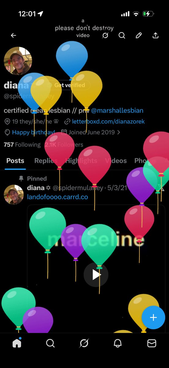 diana ✡︎ tweet media