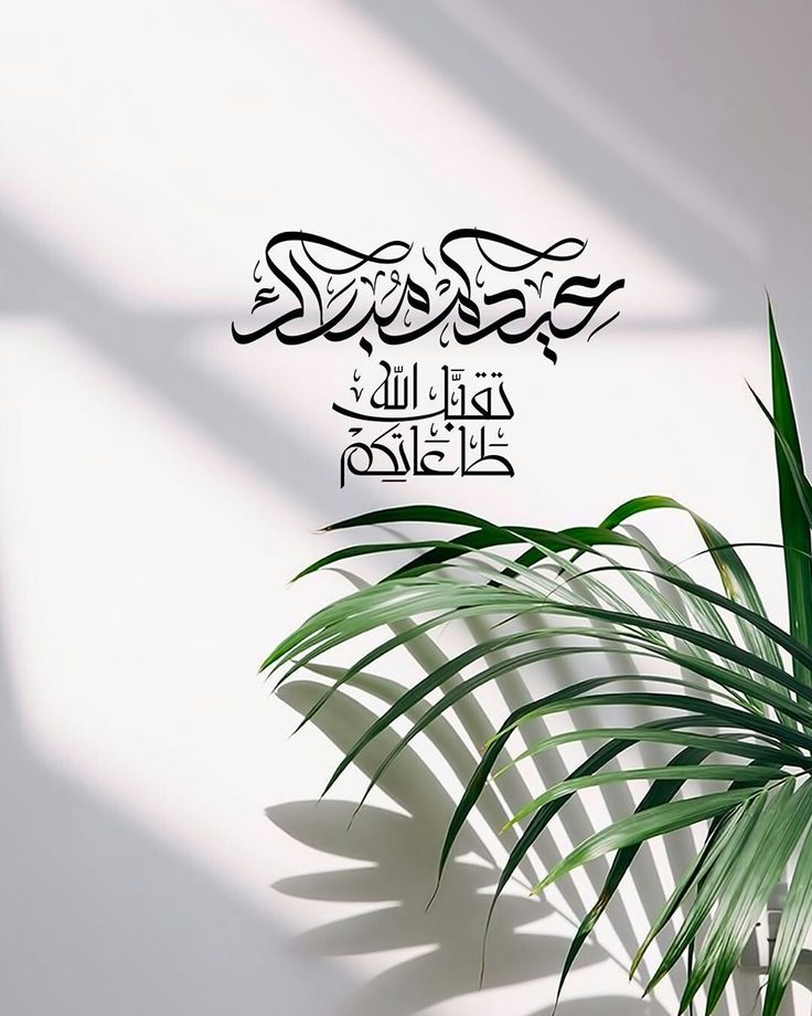 د.هارون رشيد tweet media
