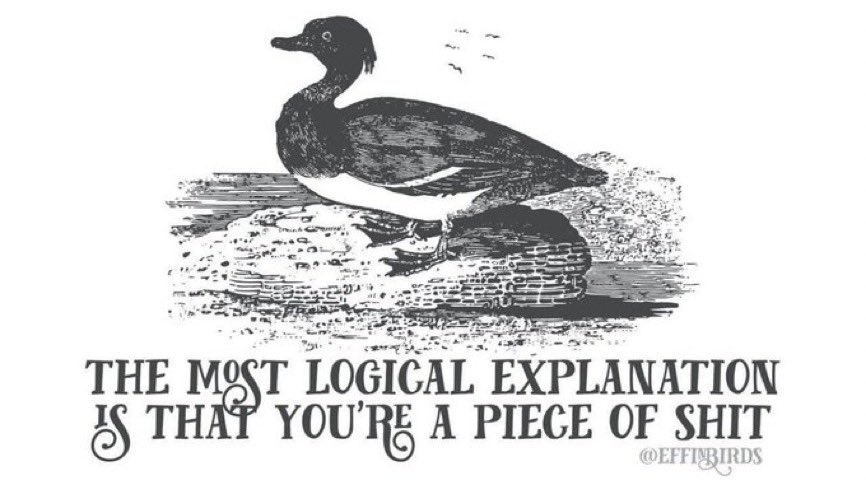 CR Volcano tweet media