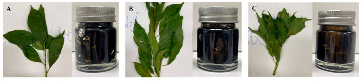 Cosmetics MDPI tweet media