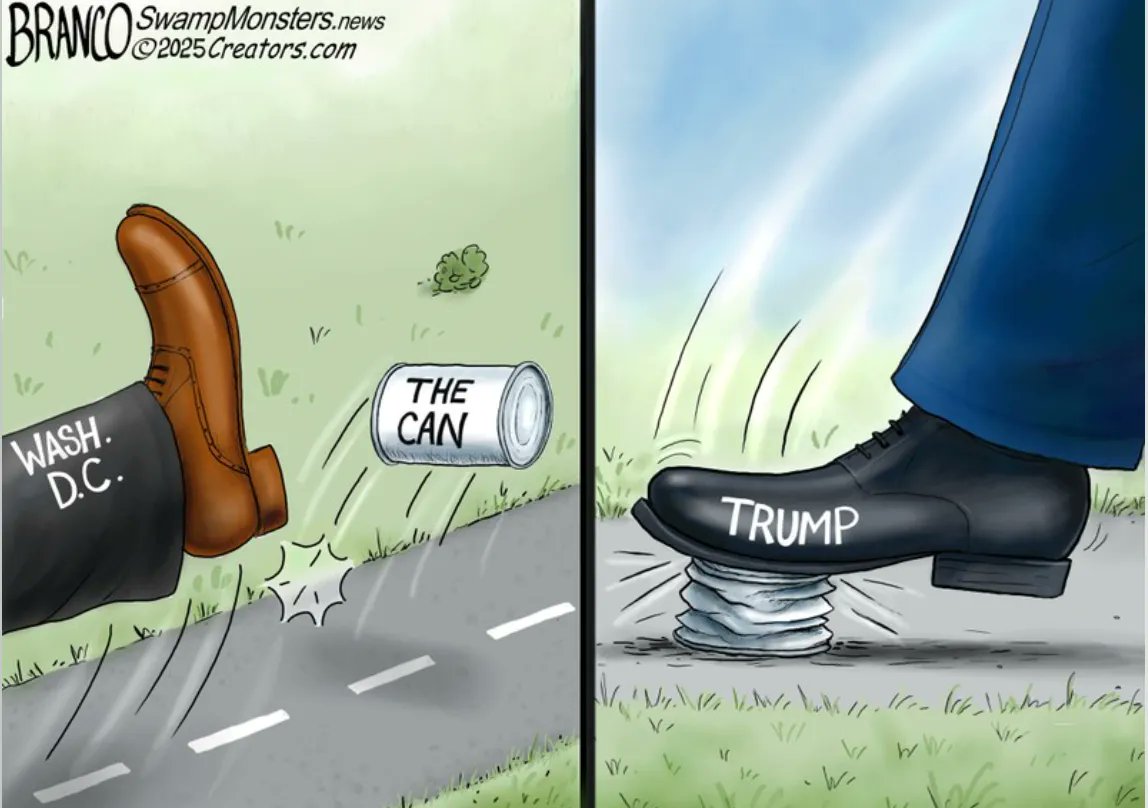 Katherine Hansley tweet media