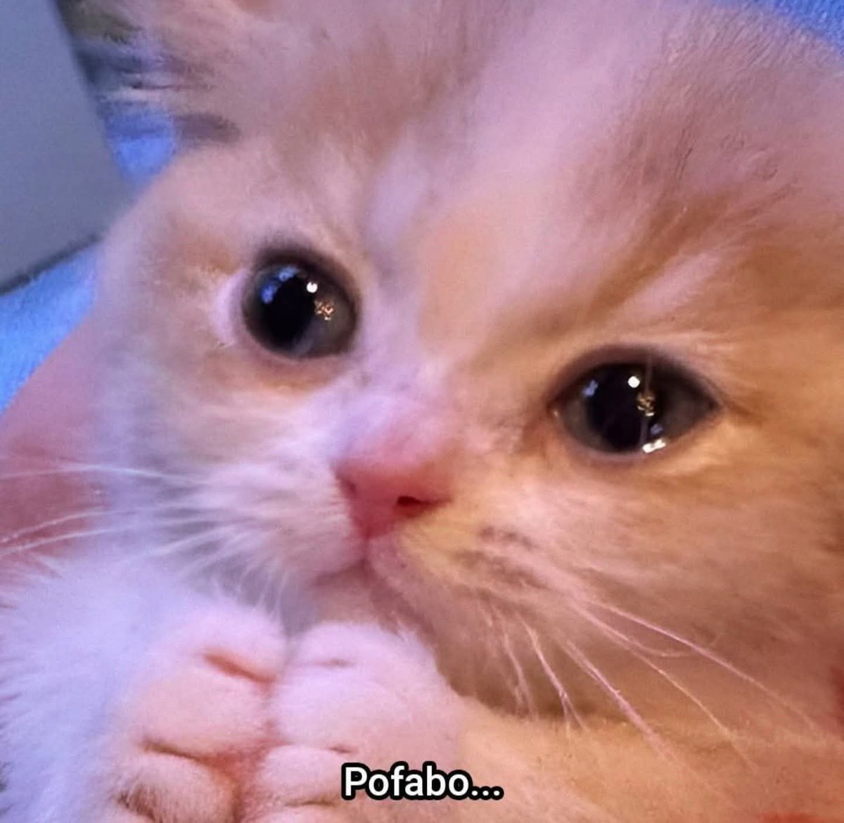 Lonely🥀 tweet media