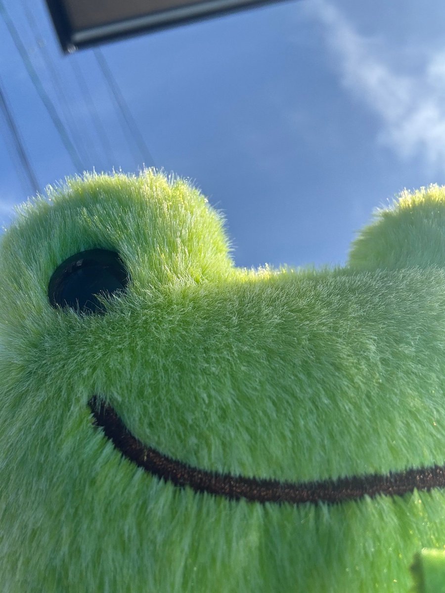 塚原克典🐸 tweet media