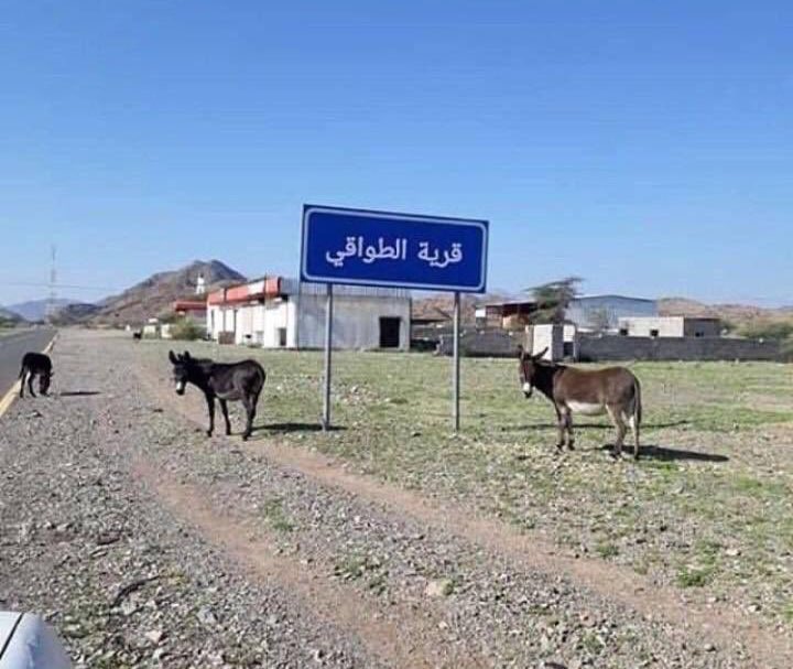 ناصر العرجاني tweet media