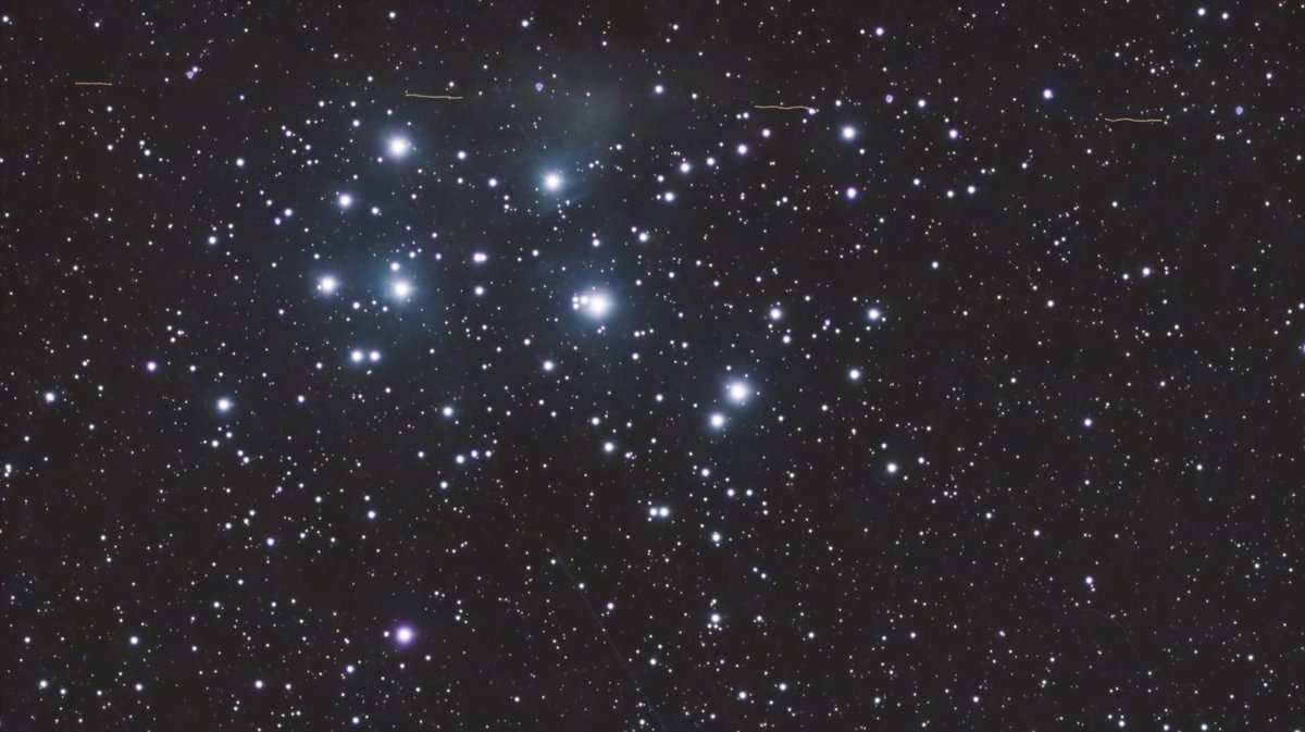 MT4 Indicator & EA Coder tweet media