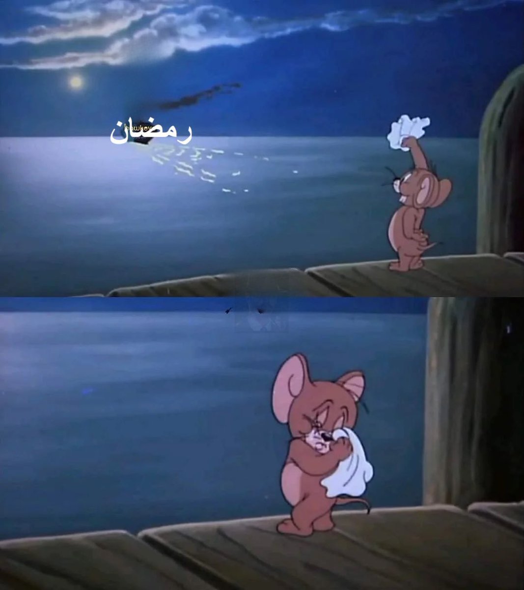 فيصل + tweet media