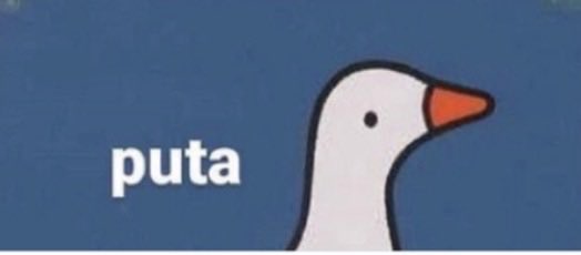 Pato Conservador de Extrema Direita tweet media