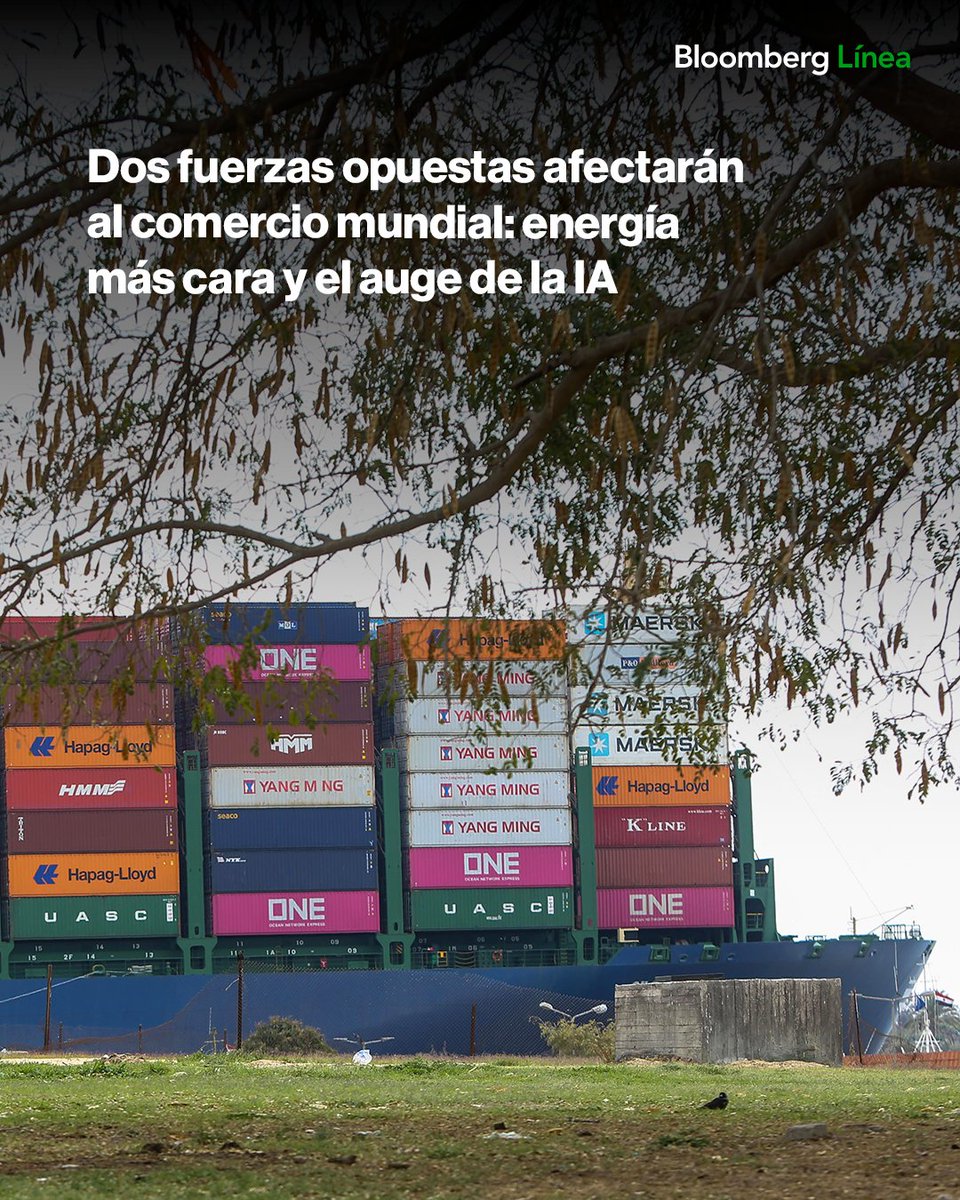 Bloomberg Línea tweet media