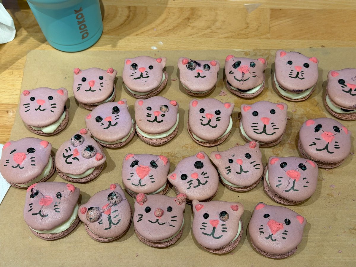 justkatarin's tweet photo. Please understand that it took me A DECADE of practicing to be able to make macarons that are this uniform and with proper feet (and look at the cats, they’re still janky af!)

Buck doesn’t have it!!!! https://t.co/eCUnaEnJfZ