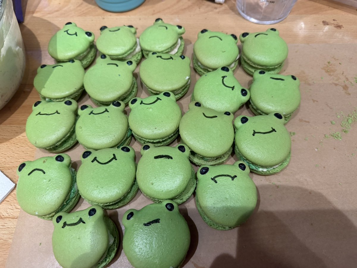 justkatarin's tweet photo. Please understand that it took me A DECADE of practicing to be able to make macarons that are this uniform and with proper feet (and look at the cats, they’re still janky af!)

Buck doesn’t have it!!!! https://t.co/eCUnaEnJfZ