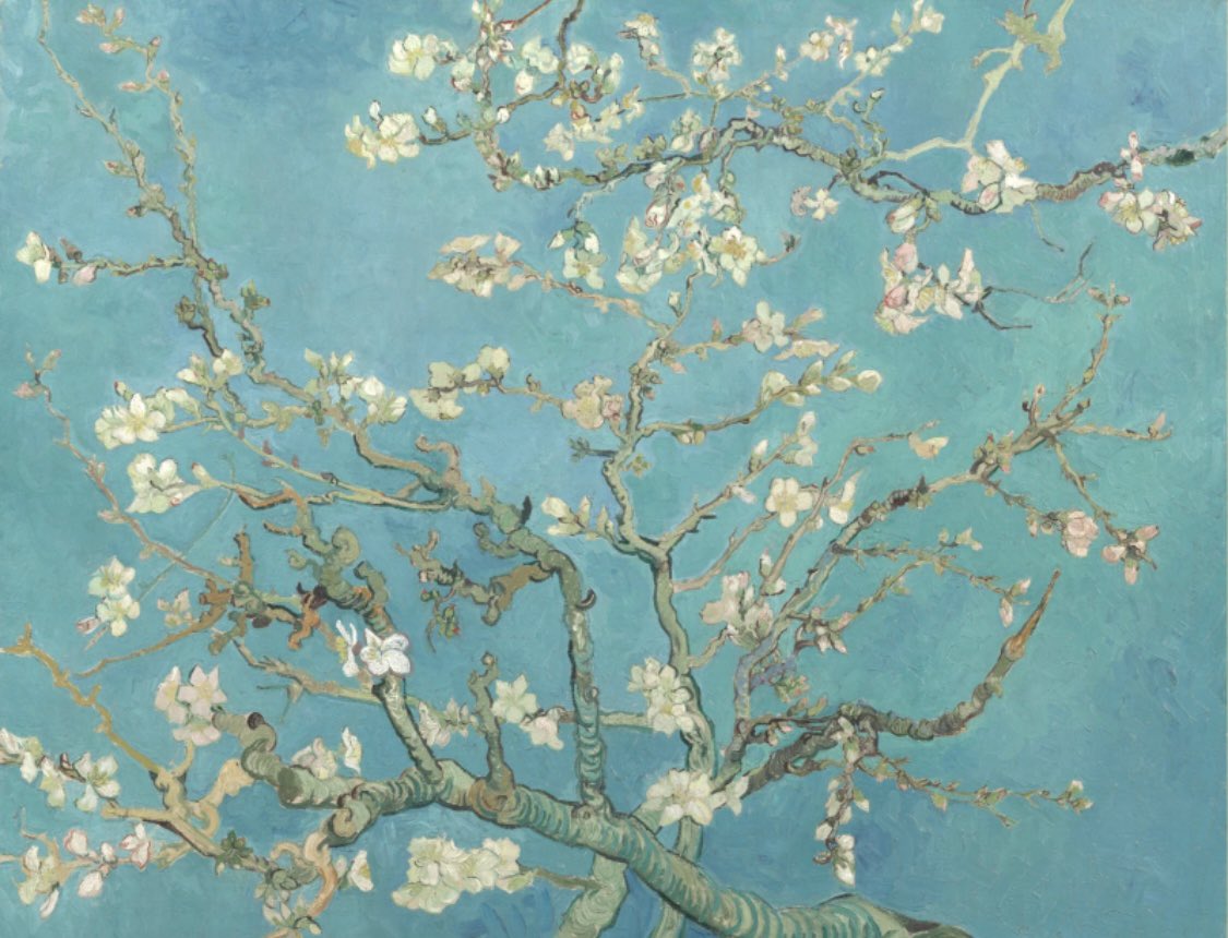 eunjung.k tweet media