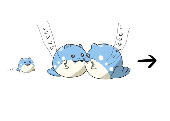 喧嘩の仲裁をする赤ちゃんタマザラシ