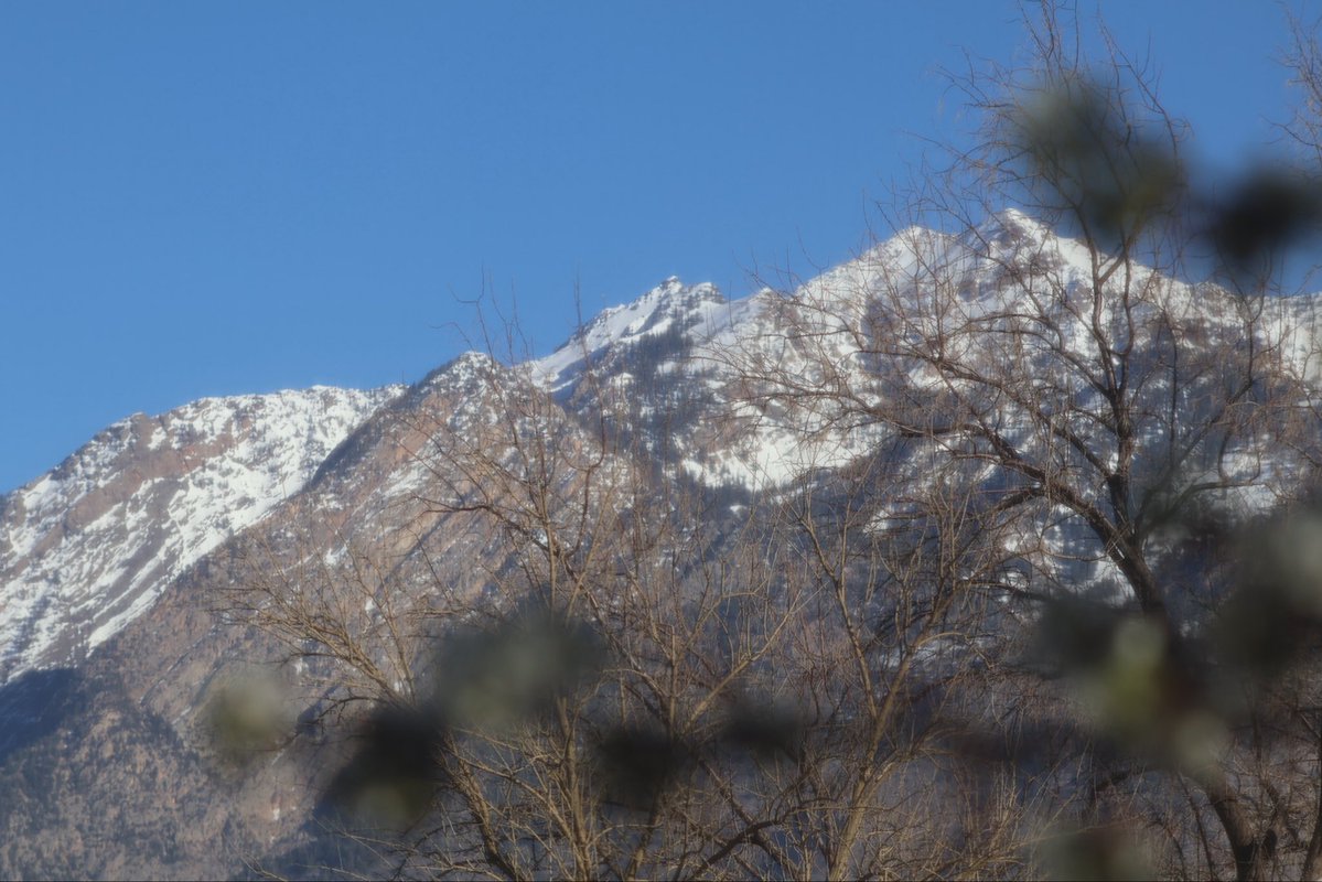 ProfHelix24🎨⚽️🎬🎶 tweet media