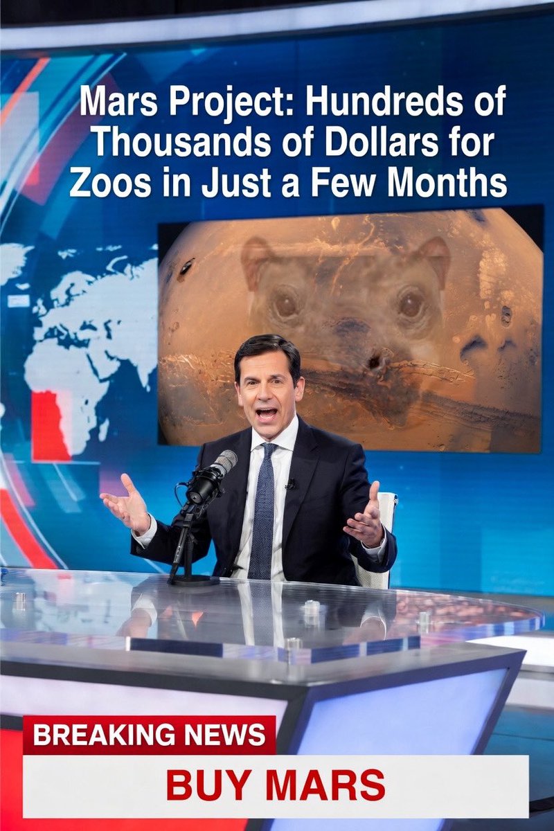 SpongillionaireJoe tweet media