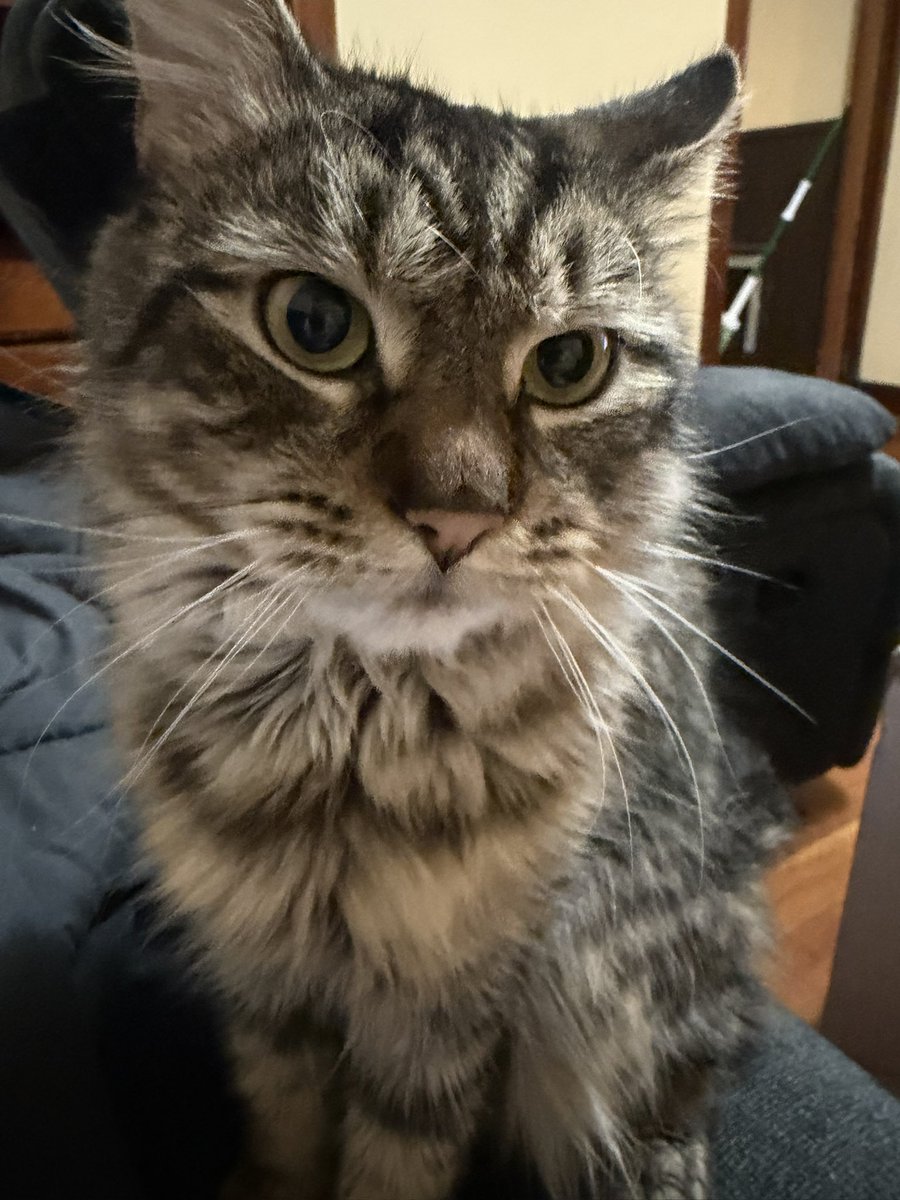 A͓̽d͓̽a͓̽m͓̽ tweet media