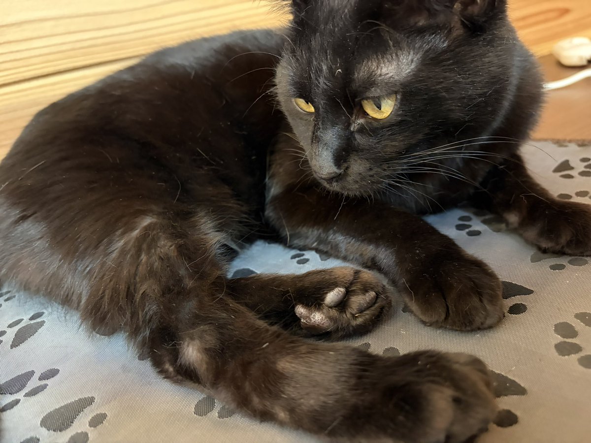 🌞EV(エレベーター)🌞 tweet media