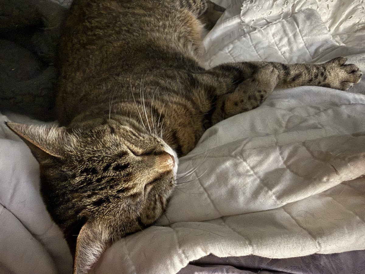 Shannon Minter tweet media