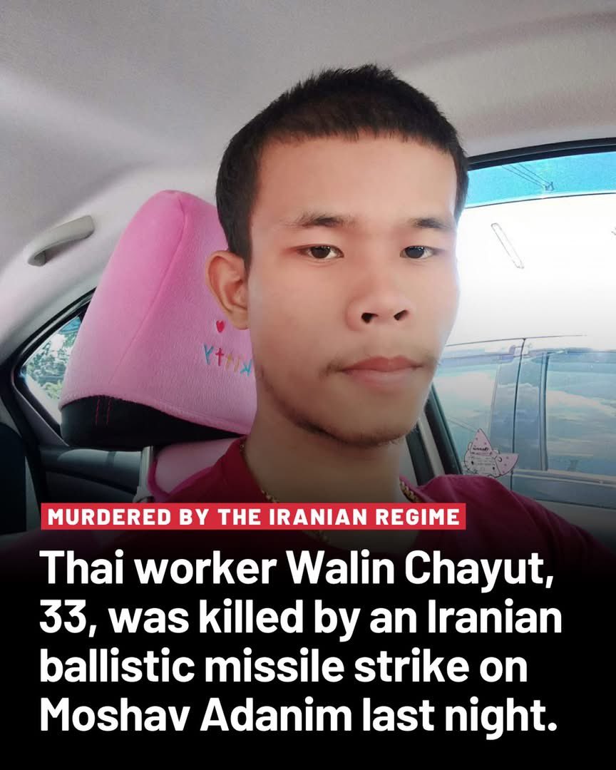 ⭕️Faerie ❤️ tweet media